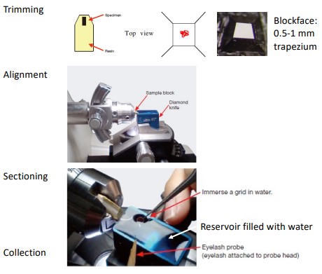 Trimming a Sample