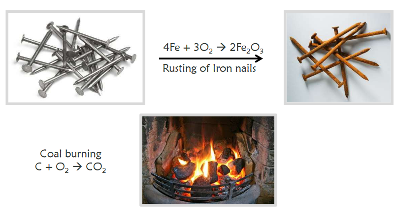 Combustion and Rusting of Iron