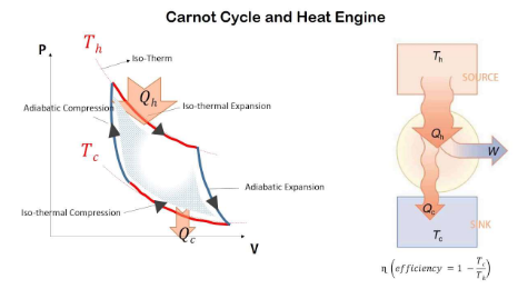 Carnot Cycle in Thermodynamics