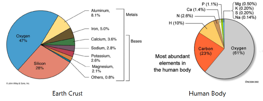 Elemental Composition of the Human Body and the Universe