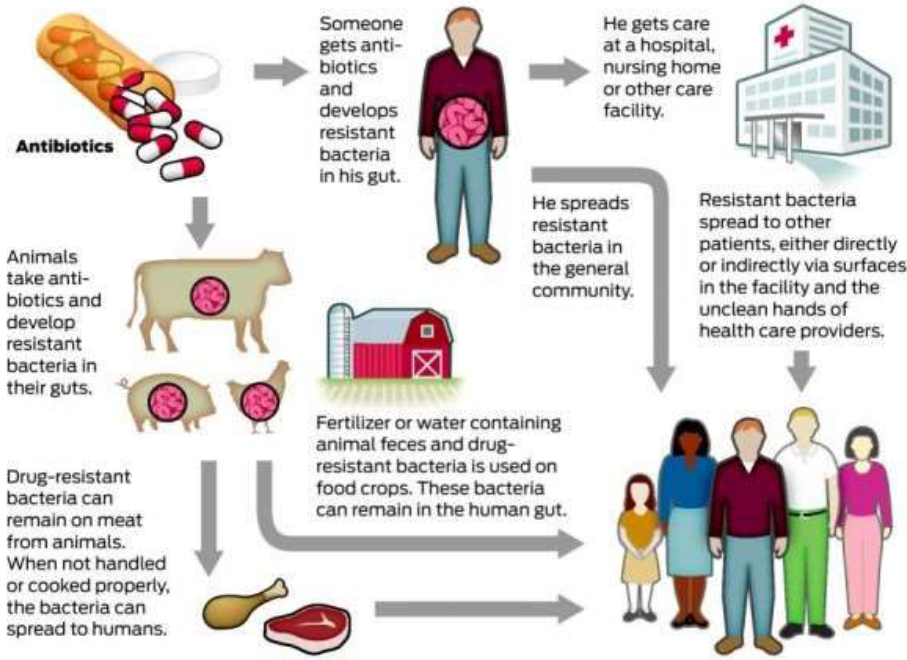 Antibiotic Resistance in Foods