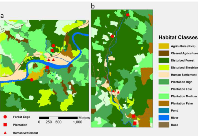 Areas of Study in Hawkes et. al's Study