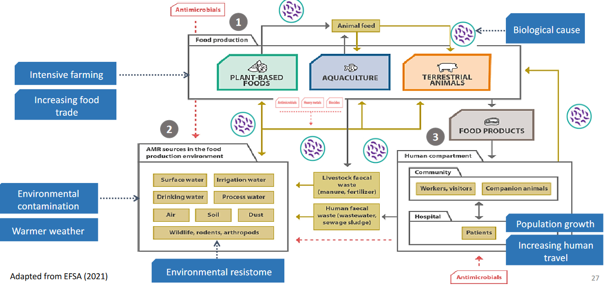 Sources and Transmission Routes of Antimicrobial Resistance in the Food Chain