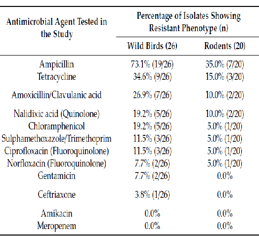 Antimicrobial Agents in Wild Birds