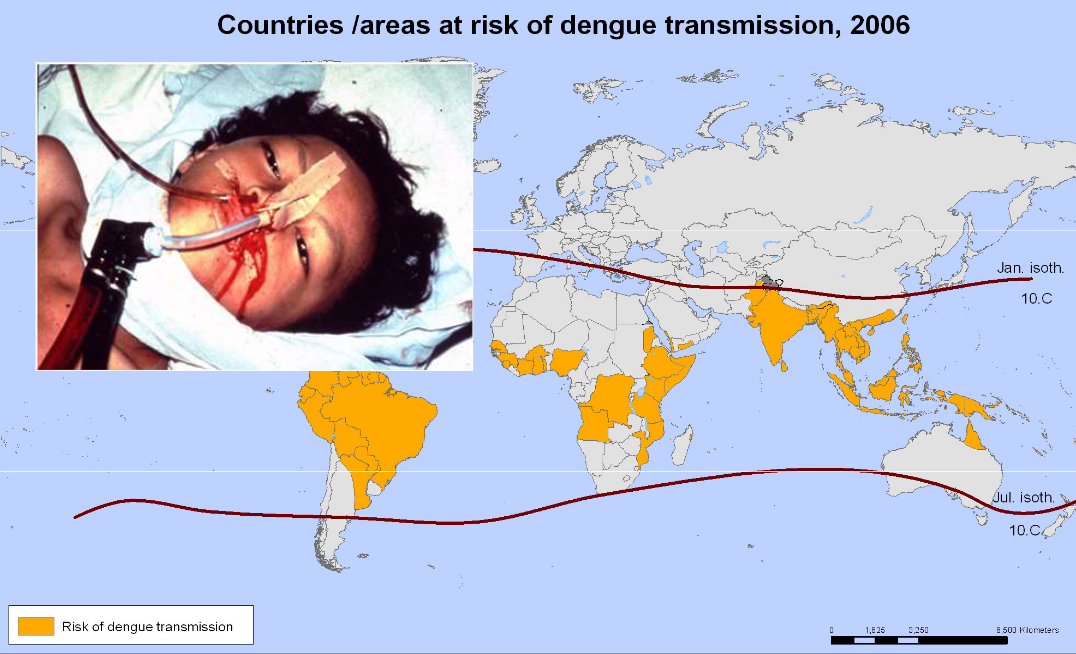 Countries at Risk of Dengue Transmission