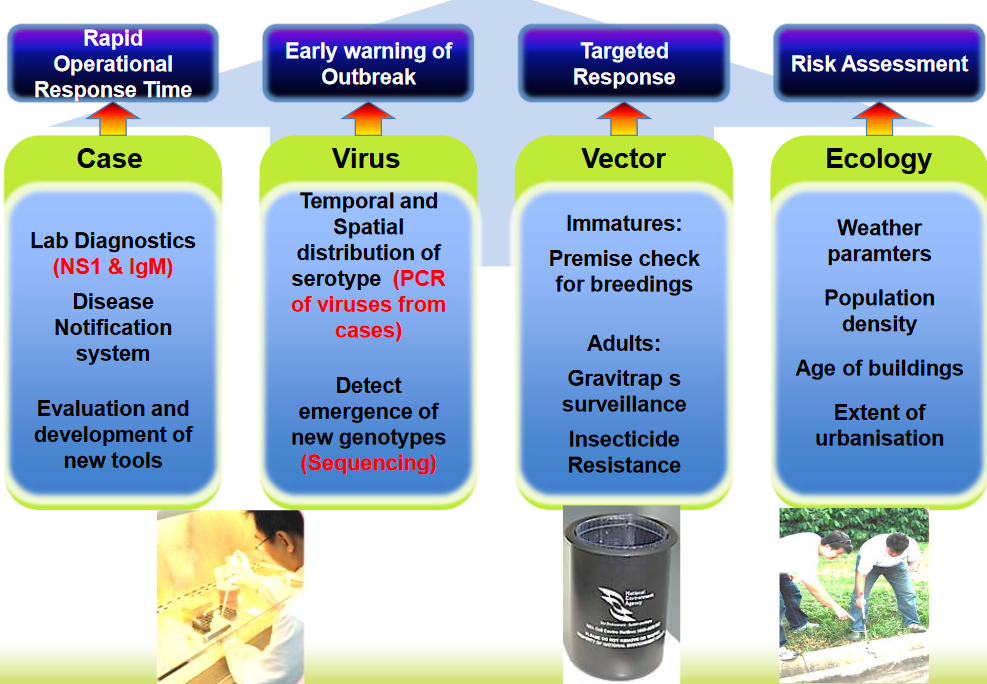 Dengue Surveillance for Decision Support
