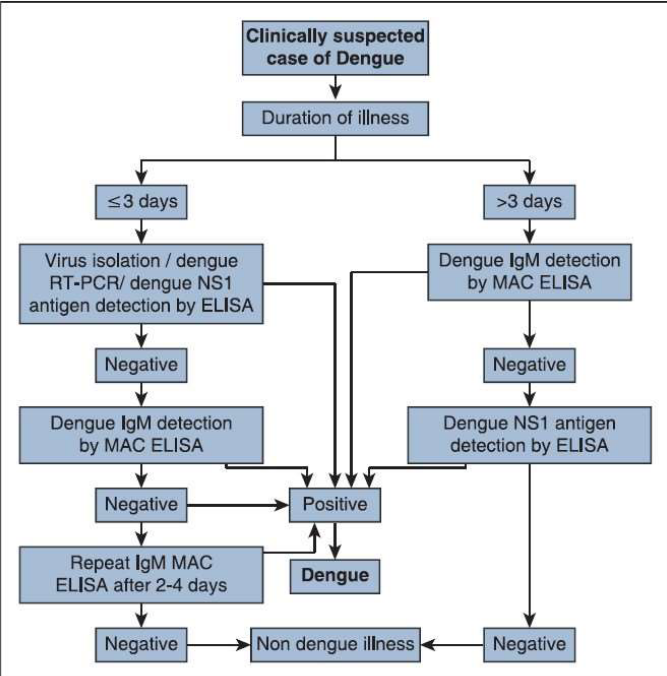 Flowchart for Confirming Dengue Infections