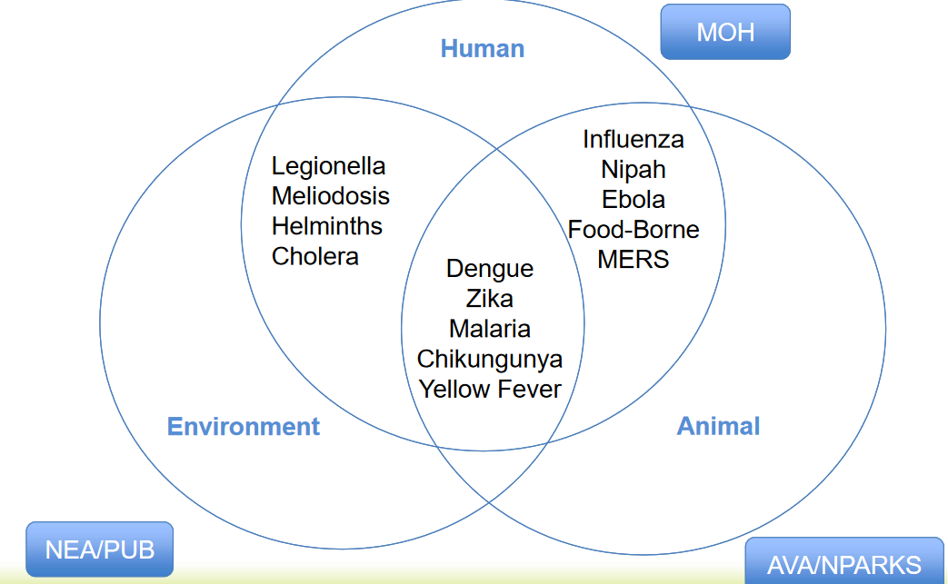 *BS0005: One Health*'s Focus on the Disease Ecosystem