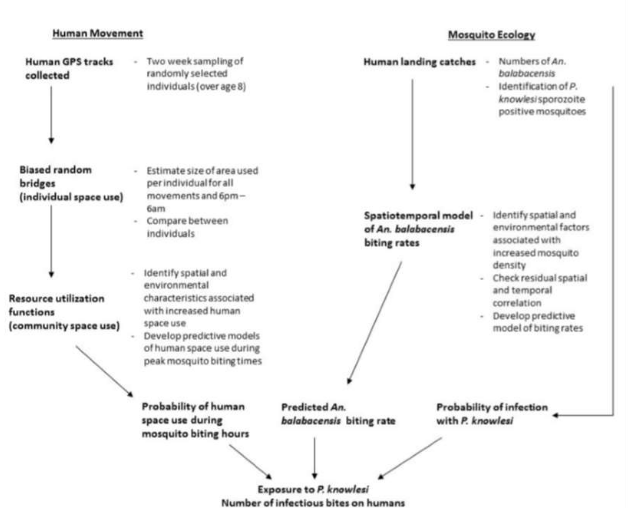 Methodology of Fornace et. al's Study