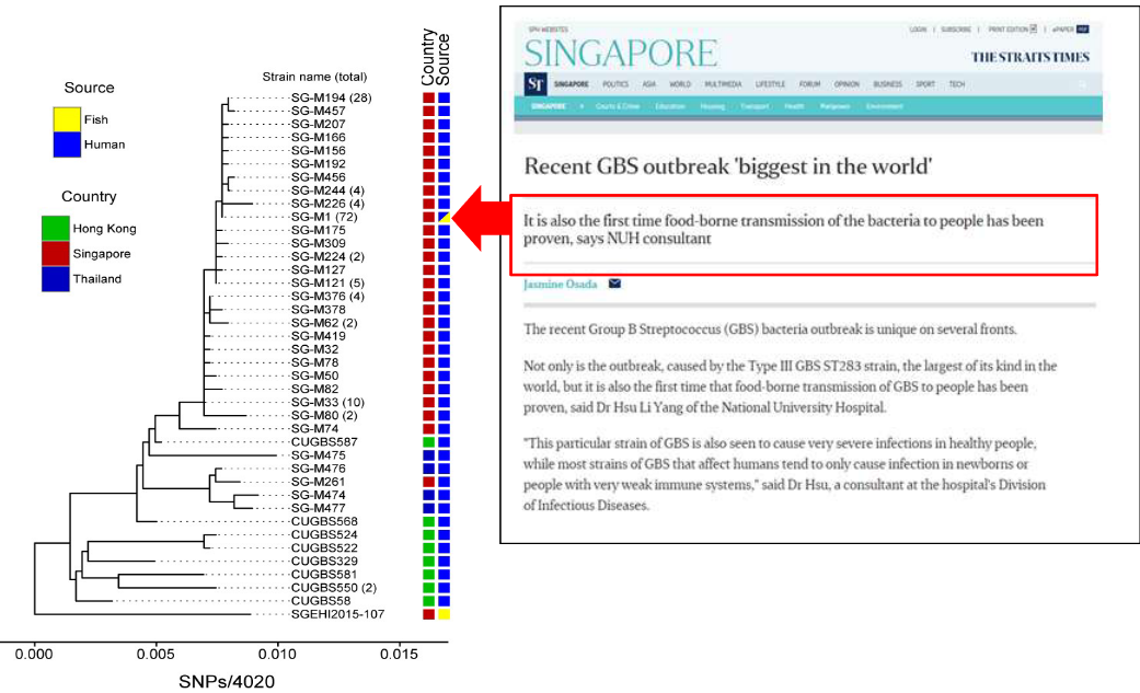 Similar Genomes Found Between ST283 Sequences in Fish Samples and Clinical Isolates