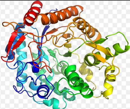 Tertiary Structure of GCD With Secondary Structures Present