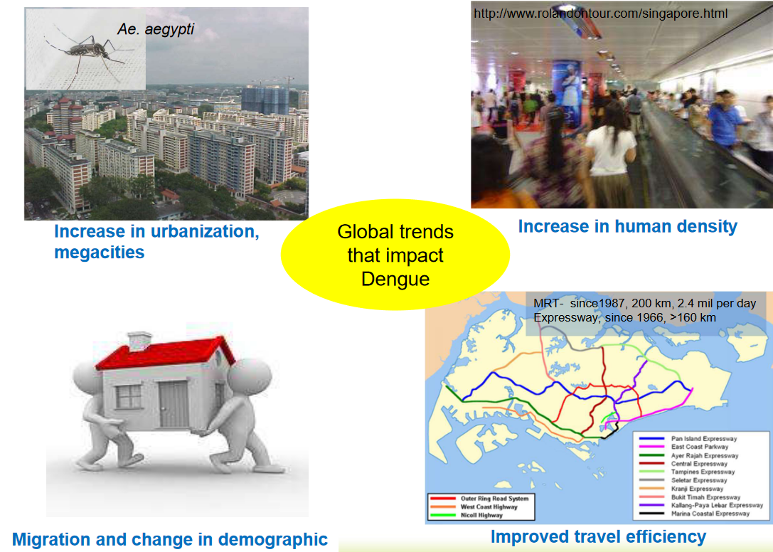 Global Trends that Encourage the Spread of Dengue