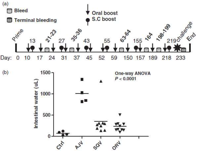 Data on Antibody Quantities in Mice