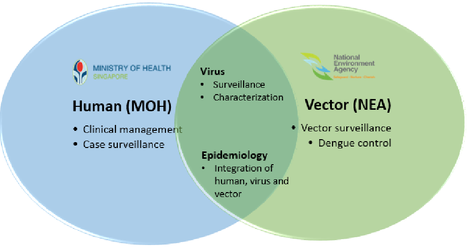 Roles of Singapore's NEA and its MOH