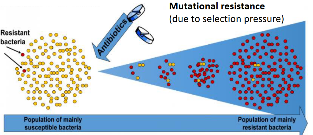 Strategies for Acquiring Antimicrobial Resistance