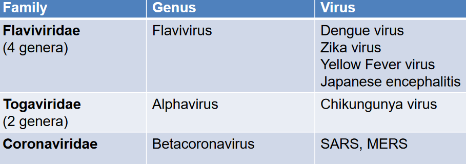 Information on Positive-Sense RNA Viruses