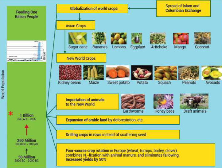 Crops Used in Feeding One Billion People