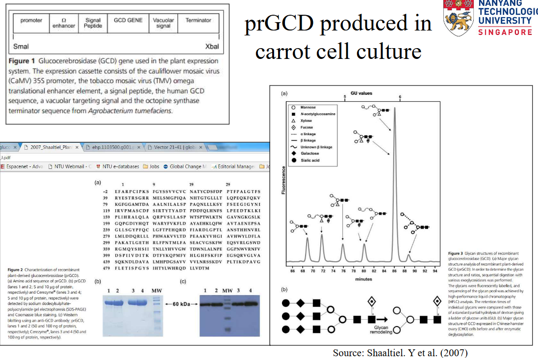 Data on prGCD in a Carrot Cell Culture