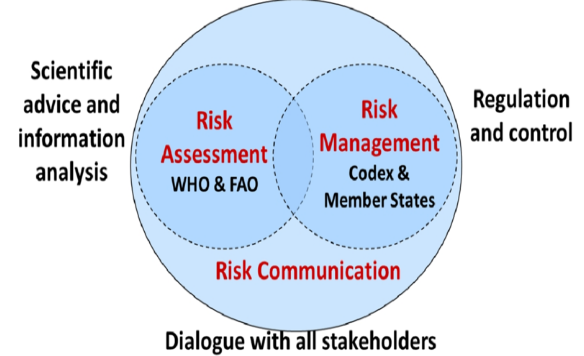 Risk Analysis Frameworks