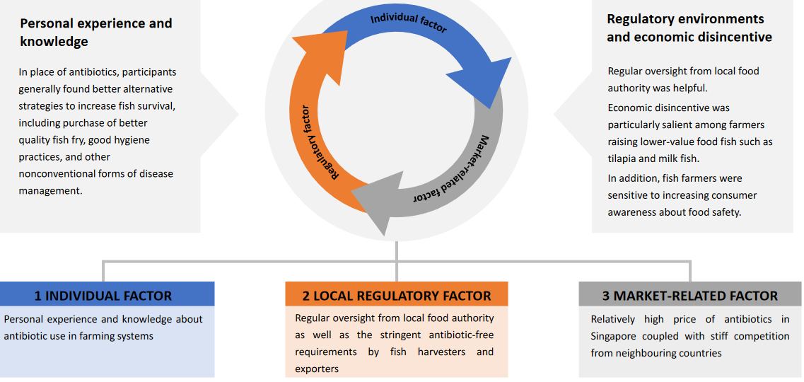 Determinants Influencing Antibiotic Use in Singapore's Aquaculture Sectors