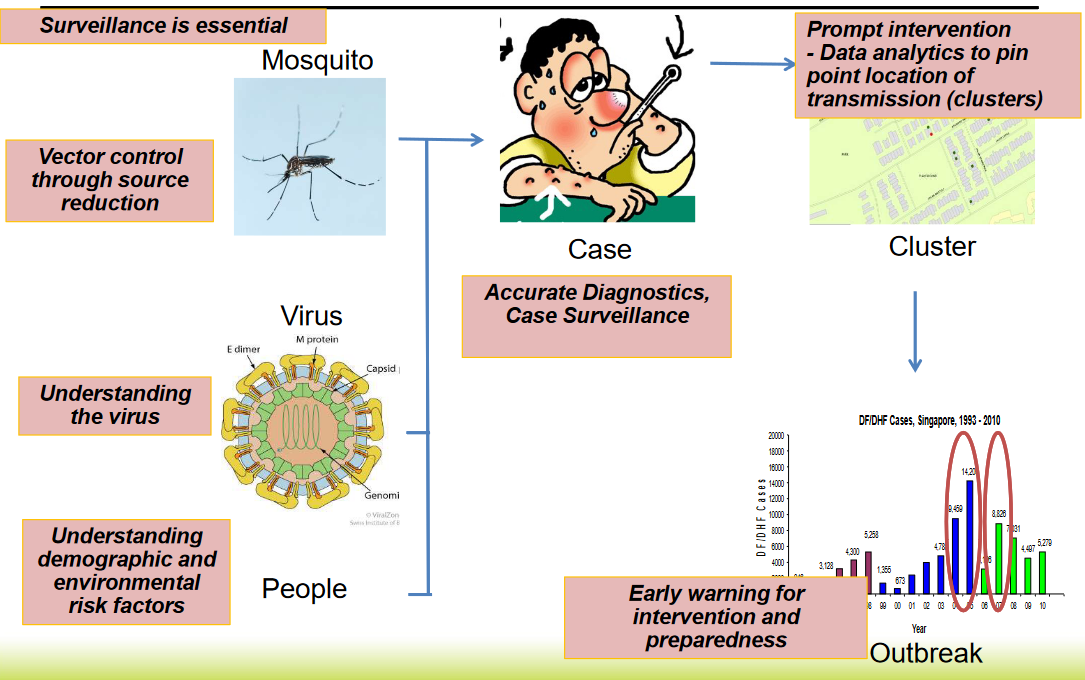 Risk Stratifications for Dengue in Singapore