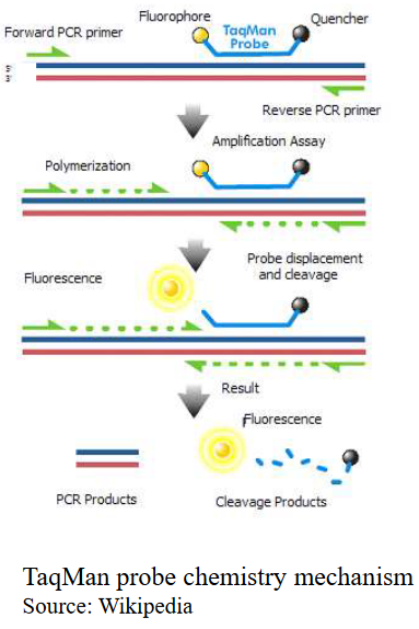 A Short Schematic on TaqMan Probe Chemistry