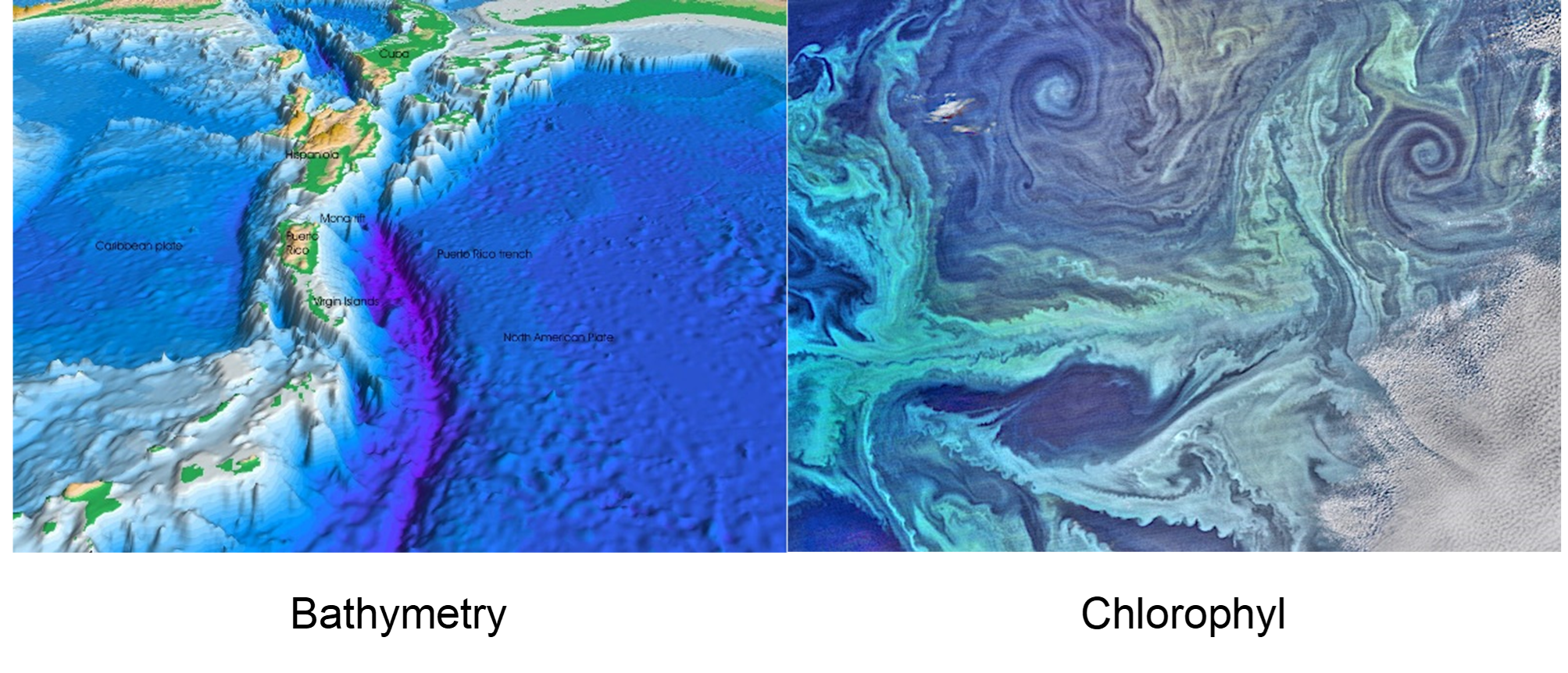 Bathymetry (from the Greek “metro” - meaning measuring - and “bathos” - meaning depth) and its terrestrial equivalent hypsometry (“hypsos” - meaning altitude/height/elevation) are probably the first environmental variables to be reliably added to most SDMs. They are more accurately measured than other variables, they are biologically influential for most organisms, and, importantly, they are static in ecological time scales. By comparison, variables such as phytoplankton distribution might be accurately known via remote sensing and might even be more biologically relevant, since many organisms rely more directly on primary production than depth. However, they are less frequently encountered in SDMs because they are dynamic. This trait means that phytoplankton maps must either be averaged into aggregate layers (potentially losing their biological relevance) or treated as successive frames in an animation of synchronous distribution data. Images: Wikipedia Creative Commons.