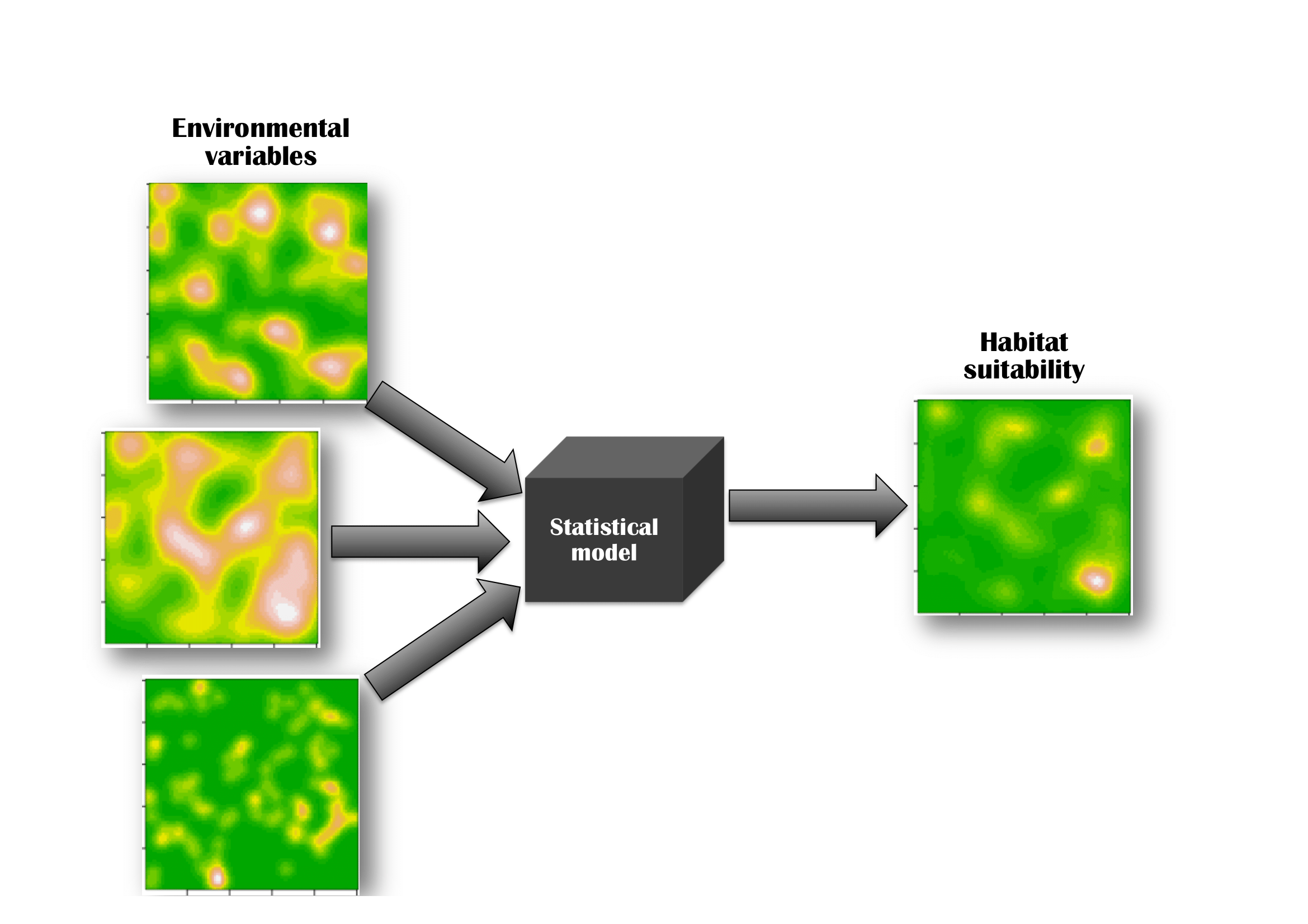 Species-habitat association models are usually imagined in geographical space as a superposition (a combination) of environmental layers, into some measure of habitat suitability, via a statistical model. The statistical model is often treated as a black box, and the emphasis is placed on the relative contribution of the input layers to the resulting map.