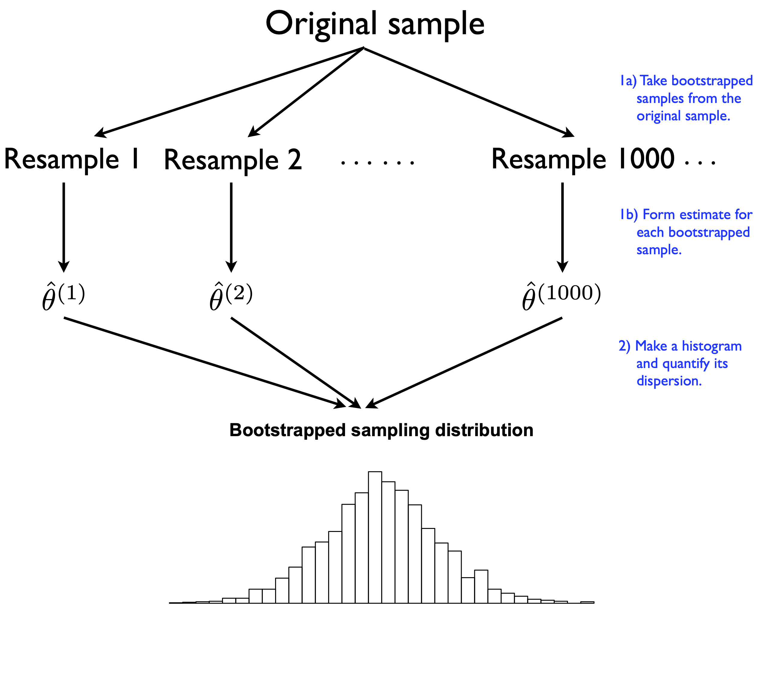 A stylized depiction of a bootstrap sampling distribution of an estimator.