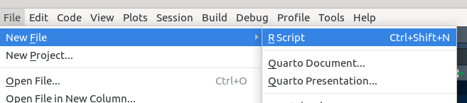 Menu superior **File** - **New File** - **R Script**.