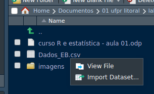 Painel *Files* do R Studio apresentando os arquivos na pasta/diretório.