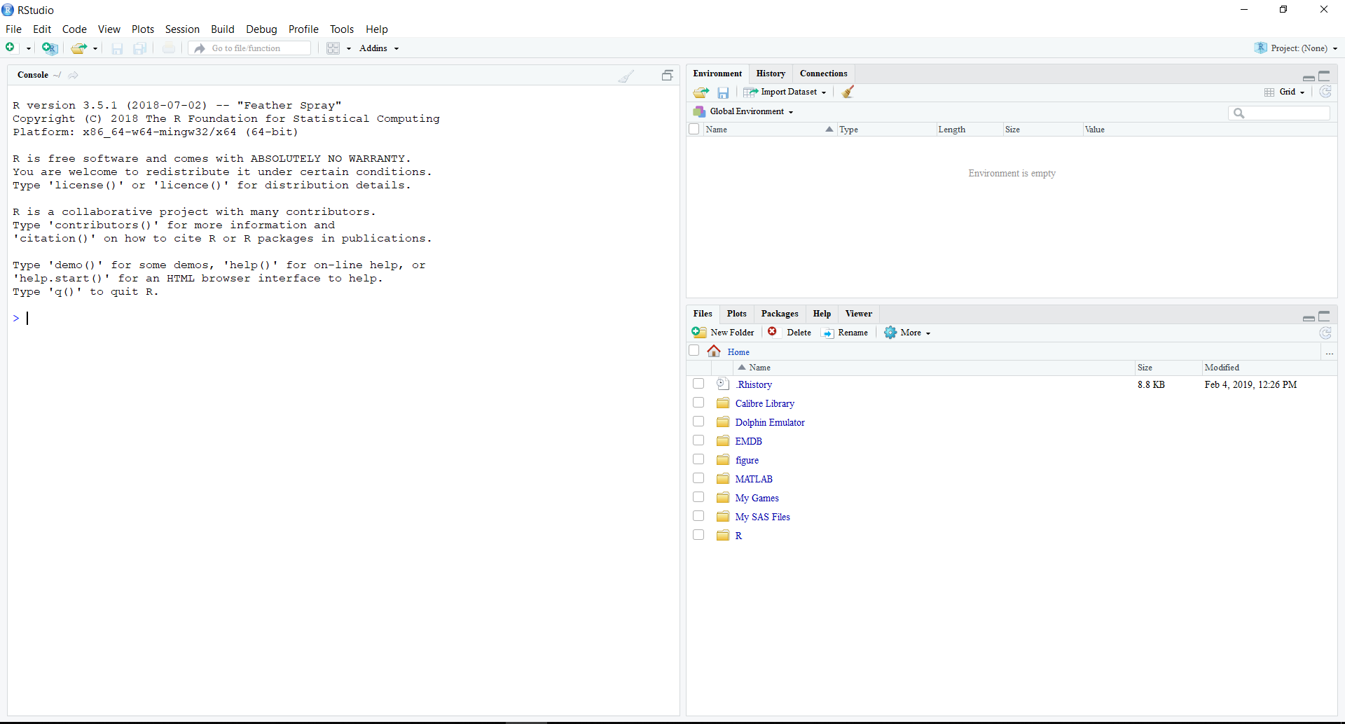 clear out console in rstudio for mac