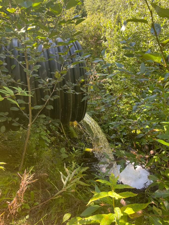 Perched culvert near outlet of Suneva Lake, intersection with Sockeye Avenue