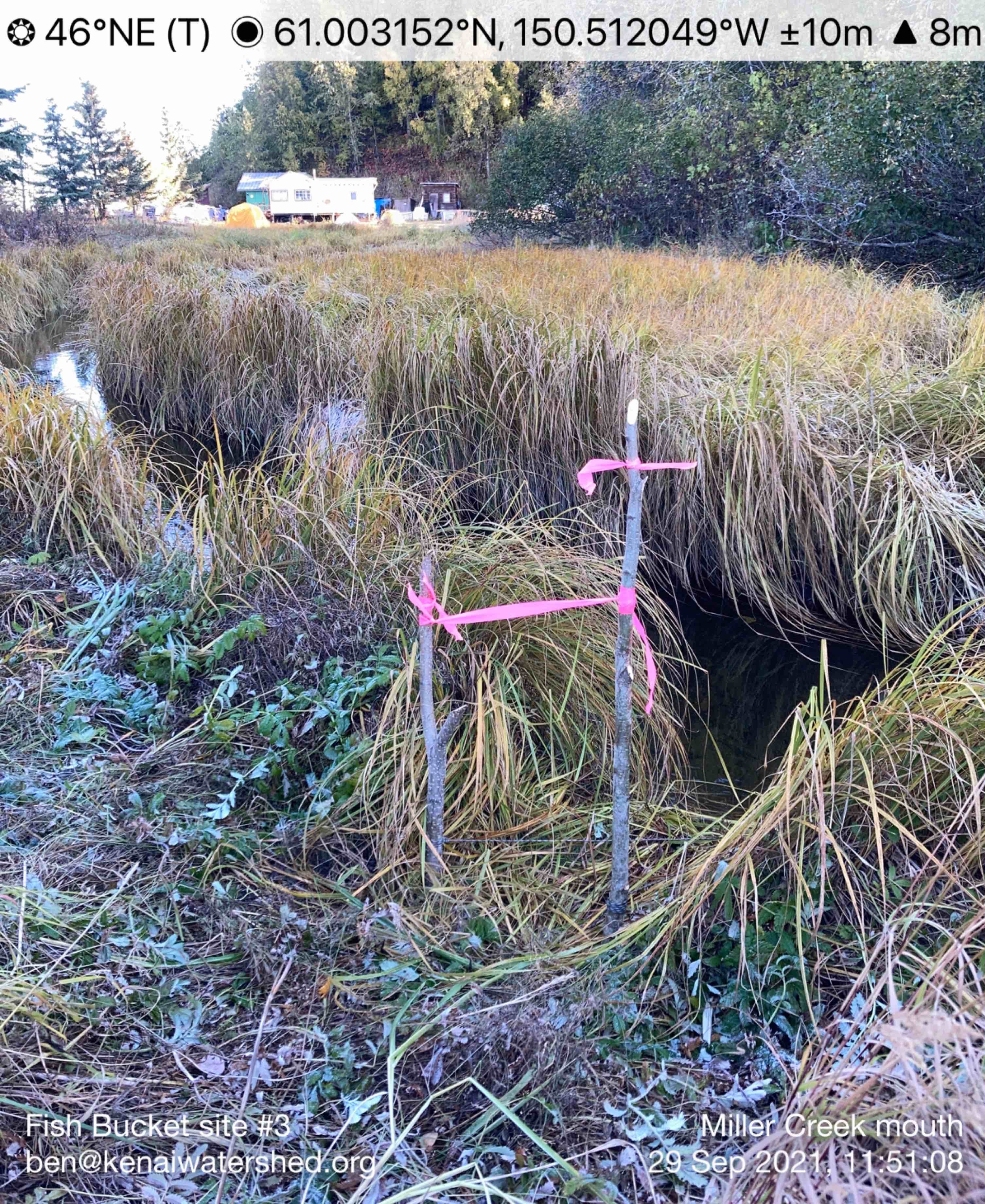 Site for storage of perforated five-gallon bucket to store juvenile fish