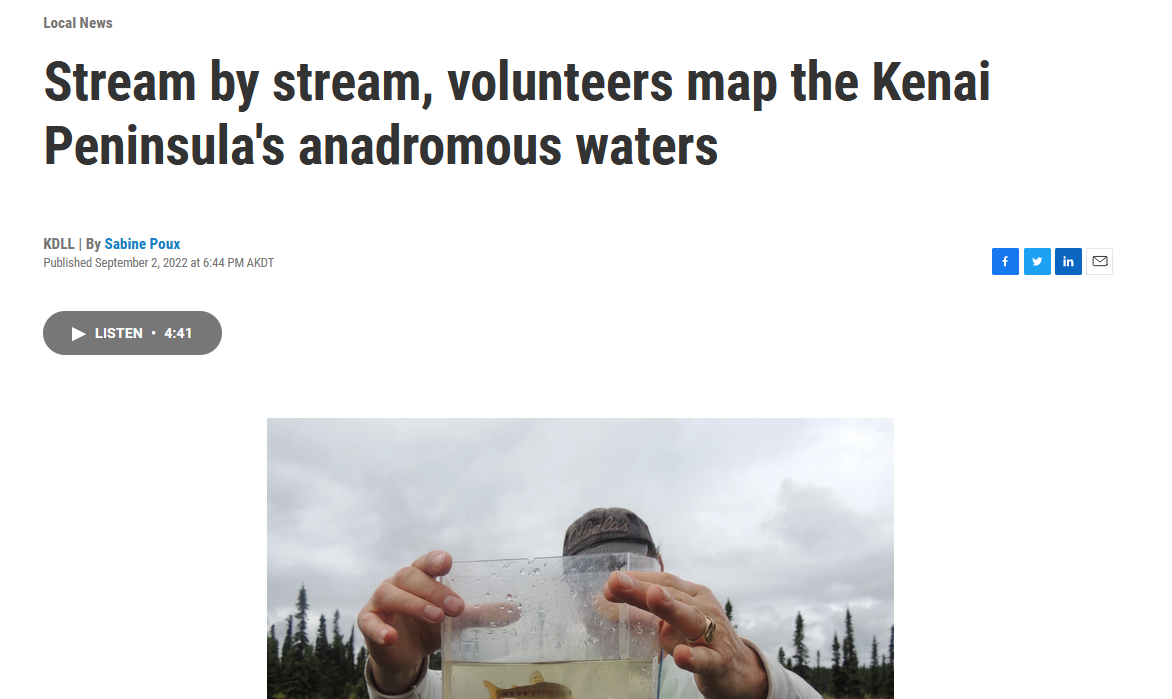 KDLL Public Radio story on September 2, 2022. Read and listen to the story at https://www.kdll.org/local-news/2022-09-02/stream-by-stream-volunteers-map-the-kenai-peninsulas-anadromous-waters