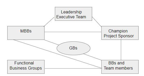 Figure 8.5 Six Sigma Organization