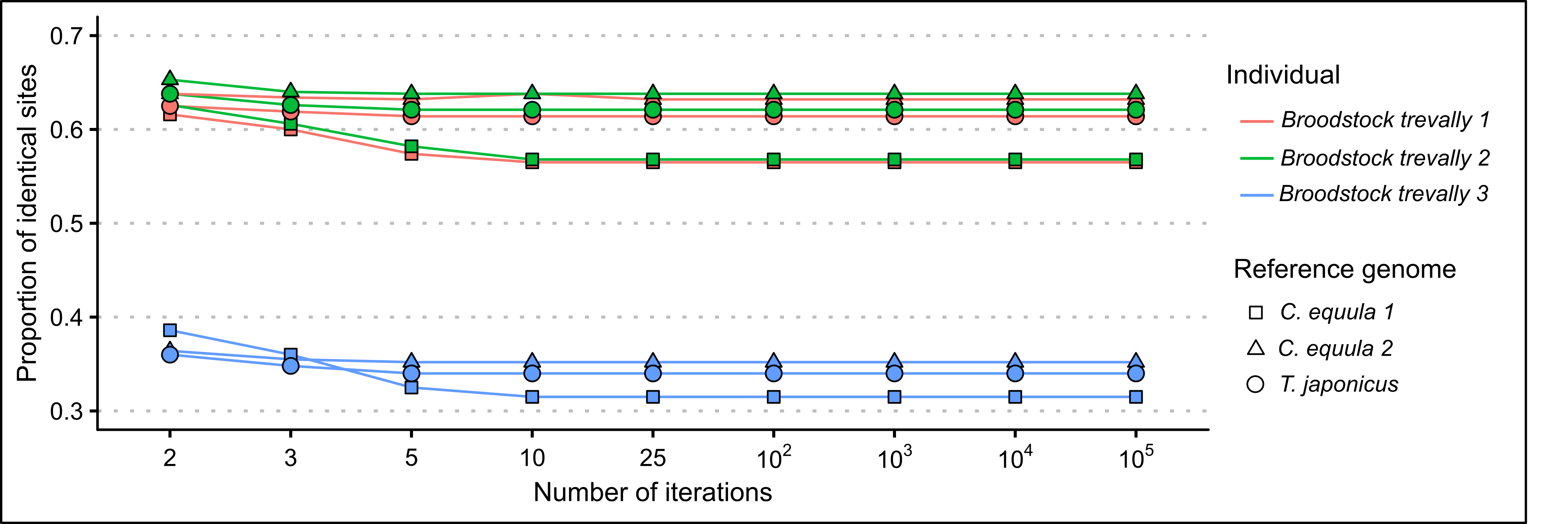 Proportion of identical sites of the mitogenome assemblies of three *P. georgianus* individuals to three reference genomes related to the number of mapping iterations.