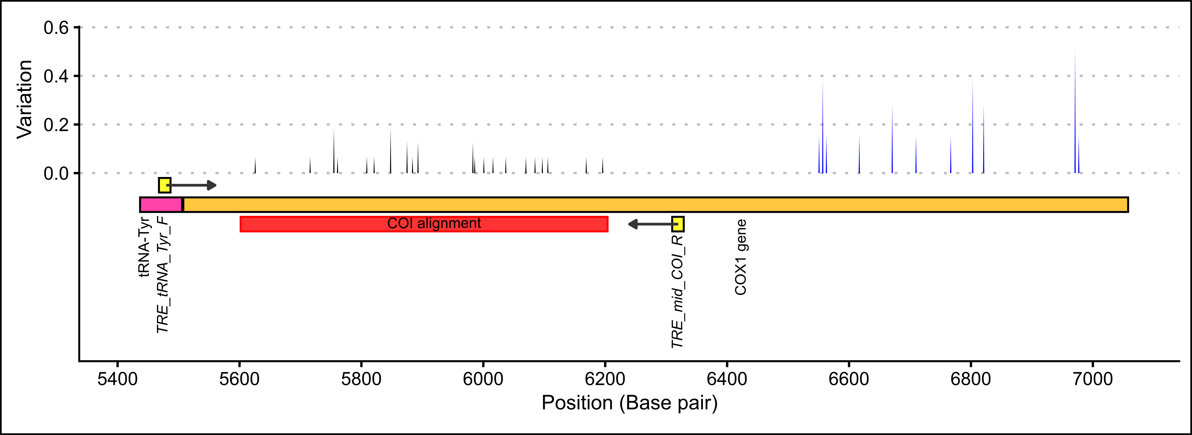 COI primer binding locations and within species variation among thirty *P. georgianus* individuals from New Zealand (black) and thirteen broodstock *P. georgianus* (blue).