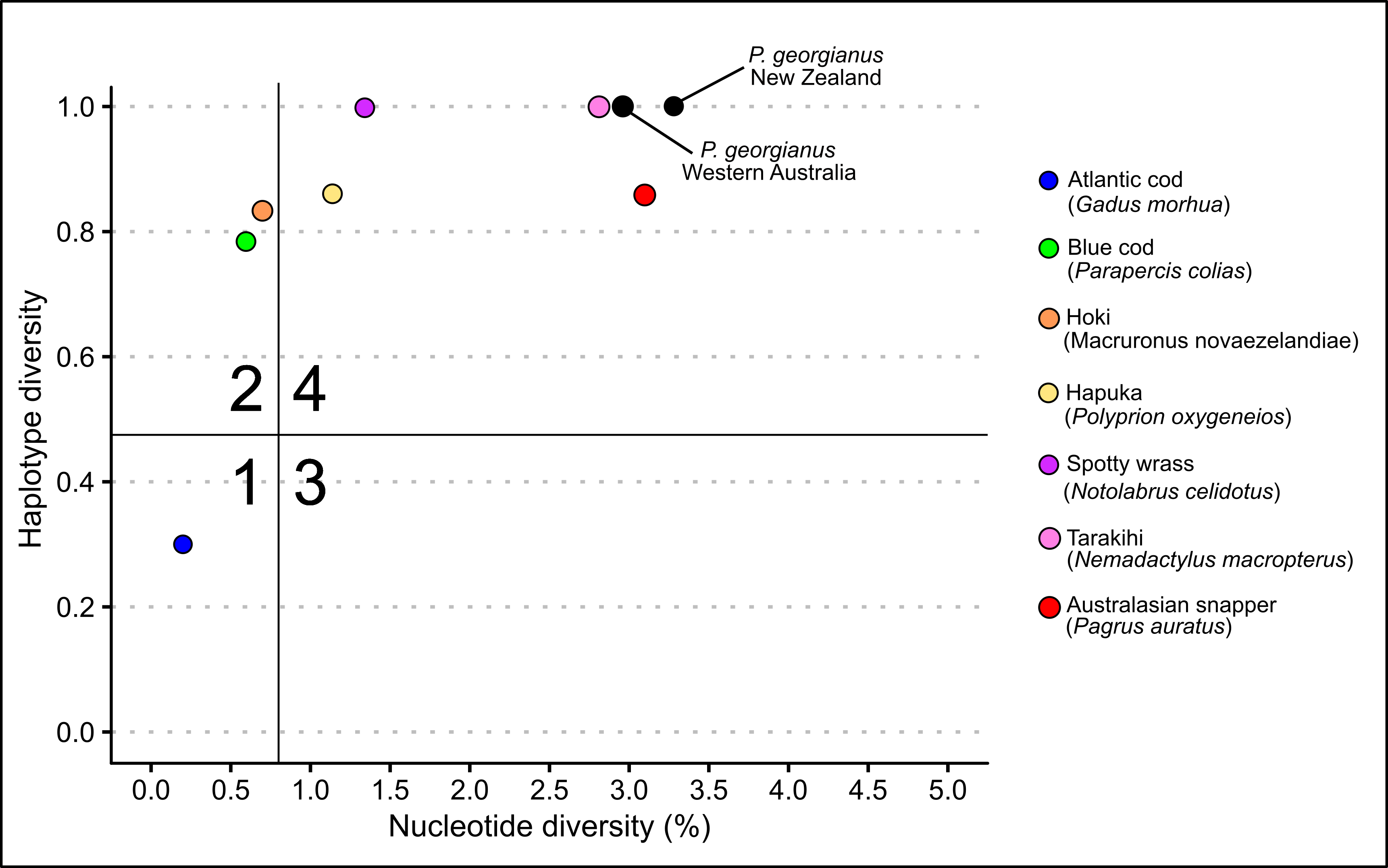 Demographic classes of New Zealand and Western Australian *P. georgianus* compared to several other New Zealand fishery species.