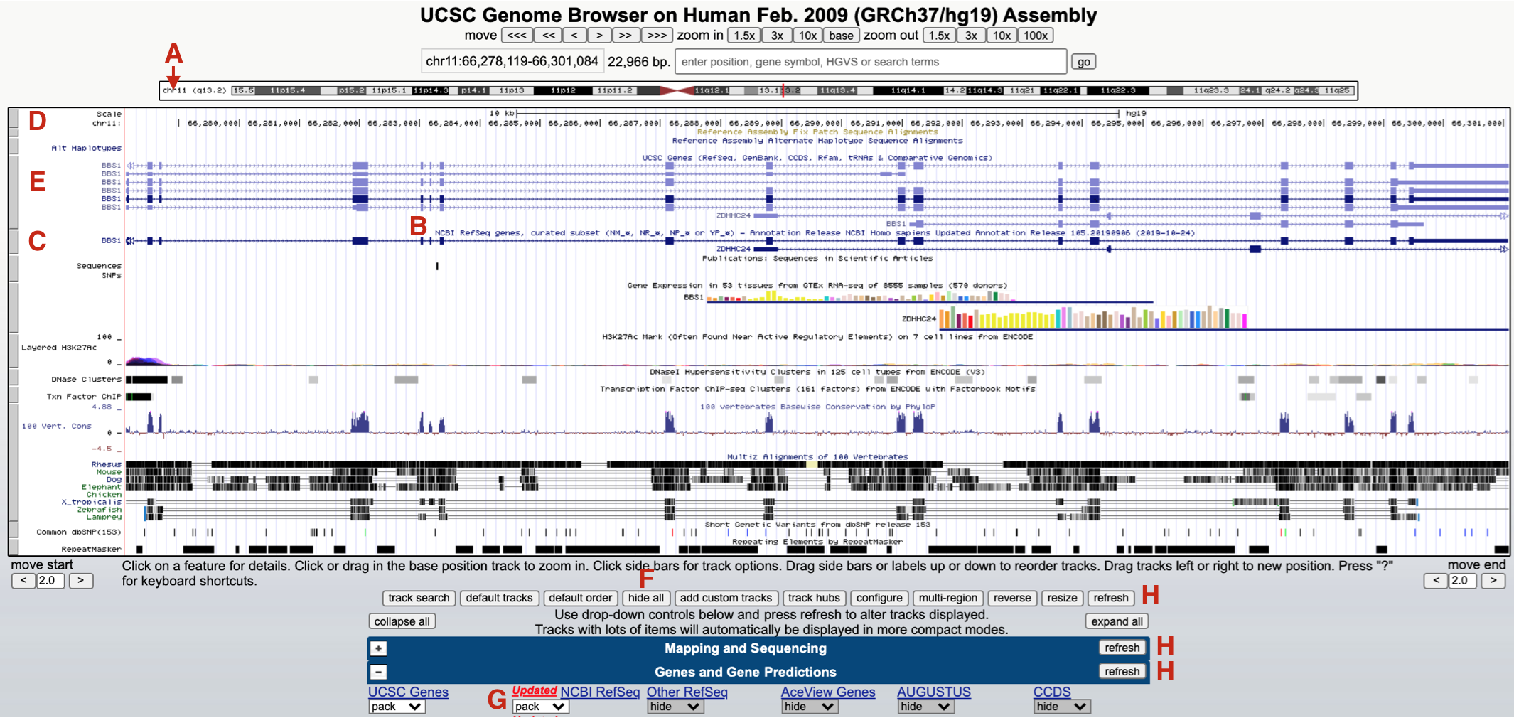 The browser window now focused on a small region of chromosome 11 (A) where BBS1 resides (C and E). Each evidence track includes a track title (B) and is demarcated by a gray rectangle (D, E and C). To hide all tracks click *hide all* (F) and click *refresh* (H). To open the NCBI Refseq track change the pulldown menu from *hide* to *pack* (G).