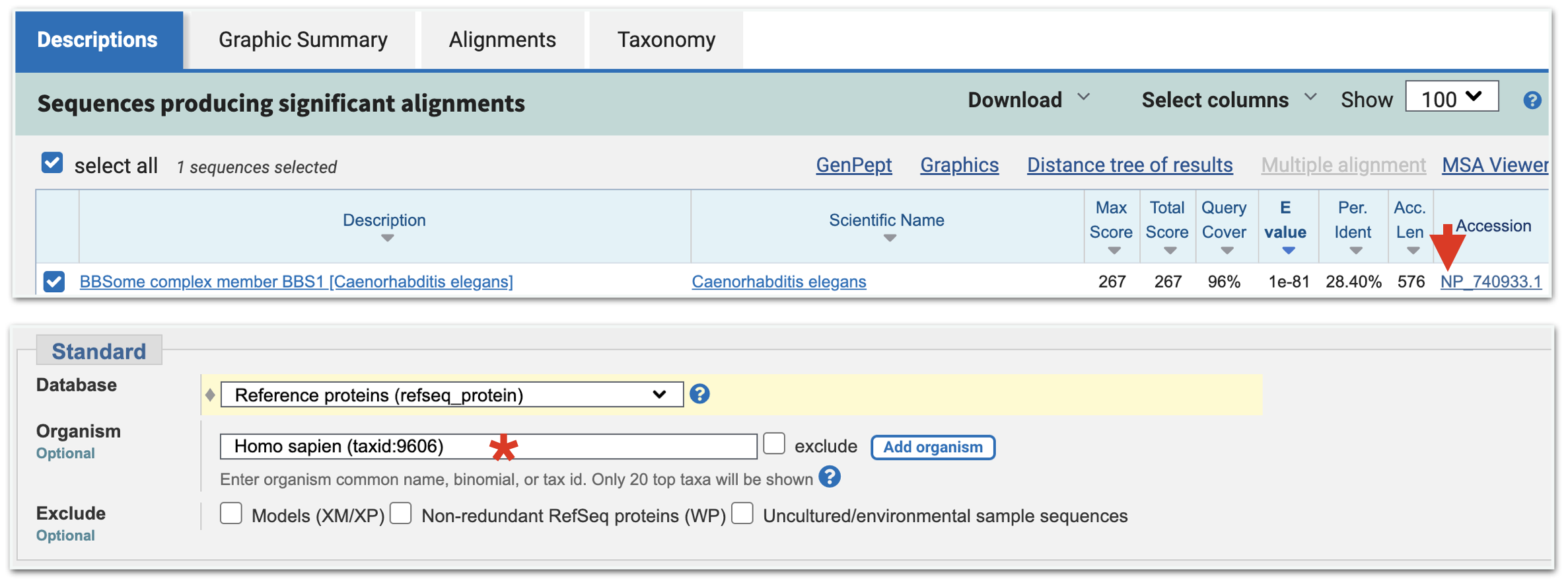 From your BLAST results page for your first BLASTP, click on the Protein Accession ID (top image, red arrow). This will take you to the protein information page for the worm best hit. Click on **Run BLAST** as before. At the BLASTp submission page, change the Organism to **Homo Sapiens** (bottom image, asterix).