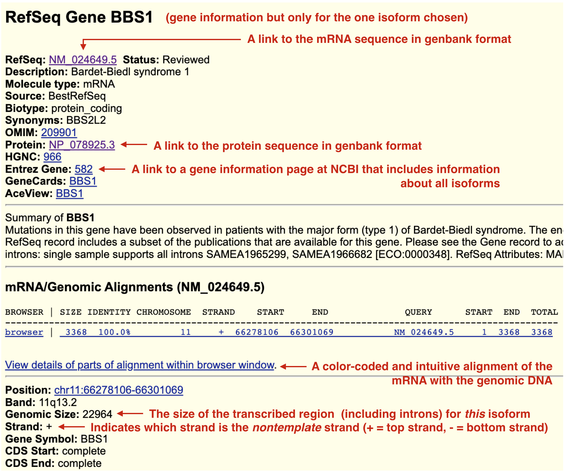 When you click on a gene/transcript schematic in the gene prediction track you are taken to its gene information page. BBS1 only has one isoform and so there is only one gene information page. In other words, this information is transcript specific and depends on which isoform you click on. Useful links are highlighted. Some links will help you answer Test Your Understanding questions. Explore!