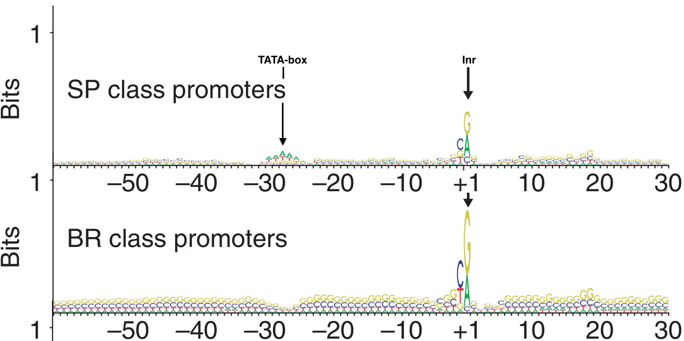 Sequence Logos for Single Predominent Peak (SP) and Broad Peak (BR) promoter types. The position of the TATA-box and Inr are highlighted in the SP class of promoters. The +1 represents the TSS.