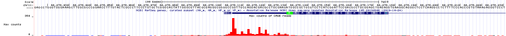 A close up view of the TSS-seq histogram data surrounding the predicted **transcriptional** start site for BBS1 (as defined by the NCBI refseq evidence track). The **translational** start site of BBS1 is shown in green.