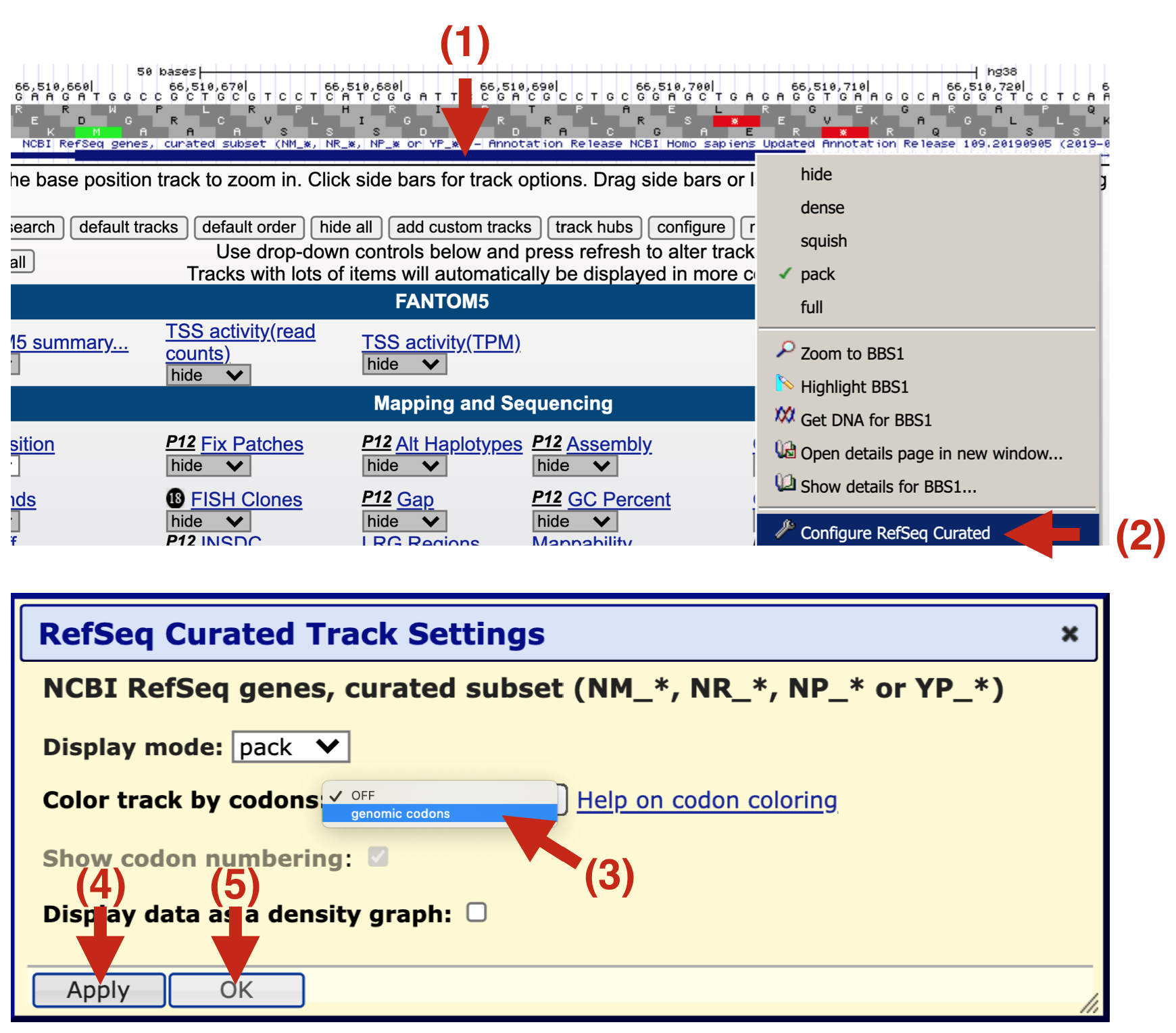 If your gene prediction track does not have the amino acids displayed (See 1 and compare to the figure above), then you will need to configure it anew as described here. 2) Right click on the gene prediction schematic and a pull down menu will appear. Choose 'Configure Refseq Curated'. 3) A new yellow box will appear. Click on the pulldown menu for Color track by codons and choose 'genomic codons'. 4) Click 'Apply' then 5) Click 'OK'