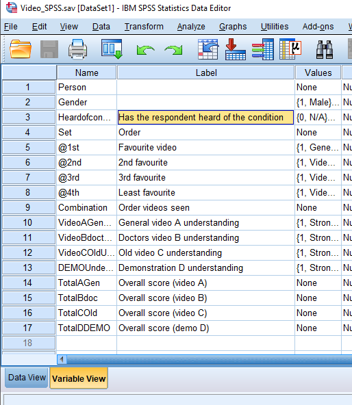 SPSS variable label.