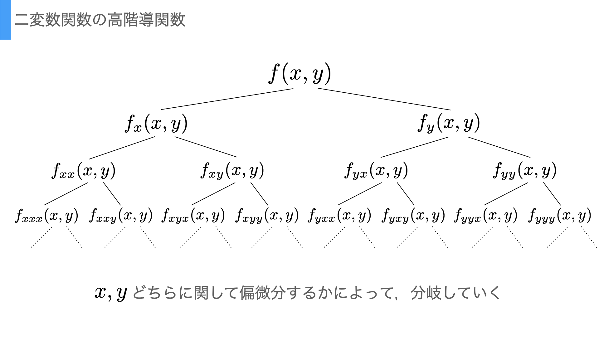 偏微分の高階導関数の分岐