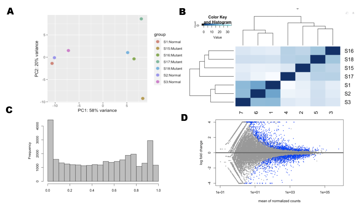 Data Exploration (A) Principle Components Analysis  (B)Euclidian Distance Analysis (C)P-Value distribution is skewed to 1 (D) Differential expressed genes