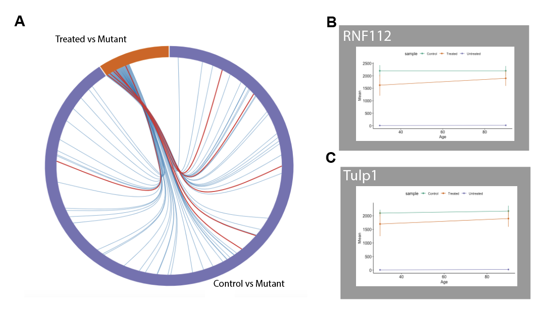 (A) Shared genes between two comparisons. Red lines indicate retina related genes. (B) Gene expression of post-synaptic regulating gene (C) Gene expression of pre-synaptic regulating gene