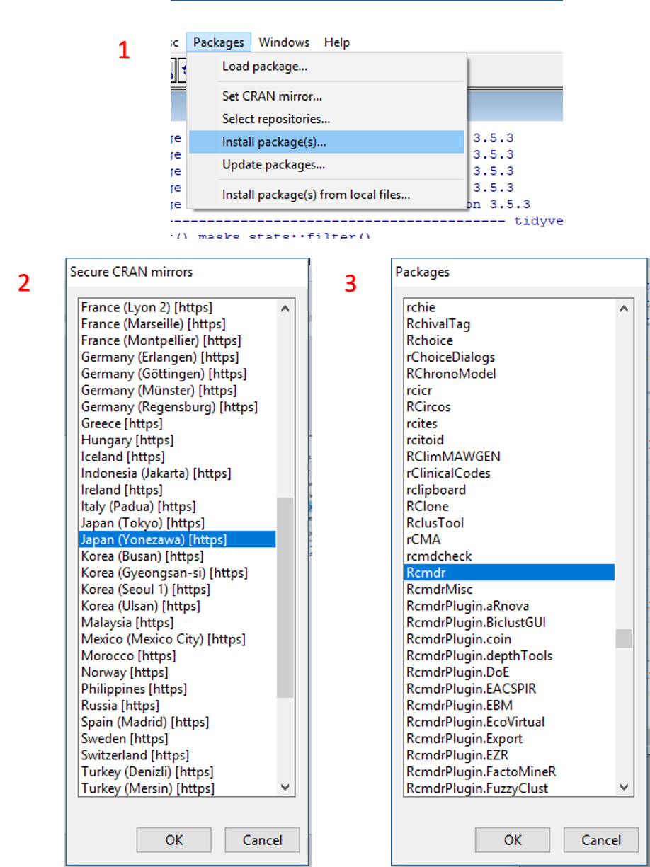 Tampilan proses instalasi menggunakan menu Packages.